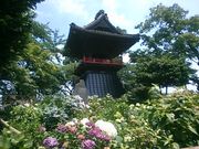 ׂ񂳂̂i\쎛j̓eʐ^1