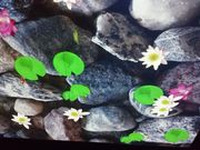 ܂񂳂̂Rcwق̓eʐ^2