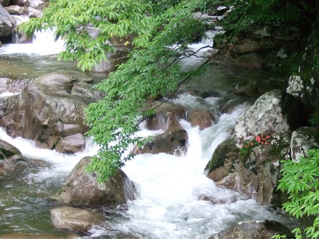 ̃Z}nRK̏˖kJ̊̓eʐ^3