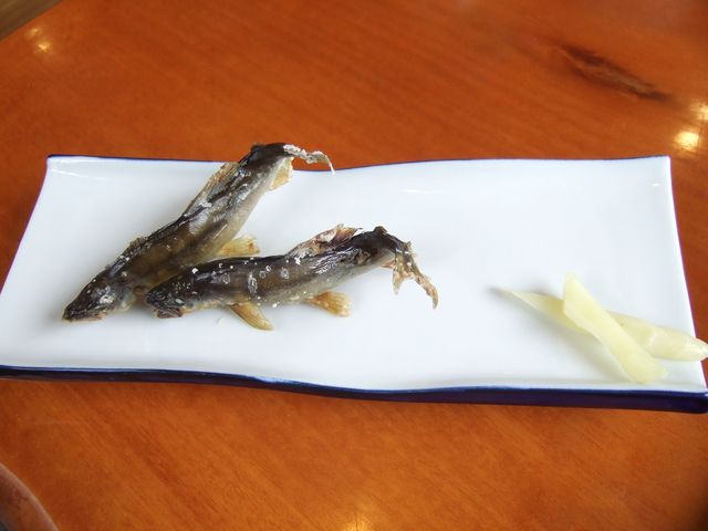 5`6{̋GߌEሼ̉_Ђ̗Hu˂v