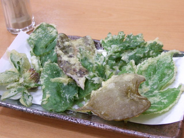 EG߂̂ݑVՂ(쑐̓VՂ)@450~I_ݑH