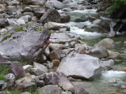 ̃Z}nRK̏˖kJ̊̓eʐ^2