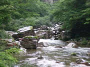 ̃Z}nRK̏˖kJ̊̓eʐ^4