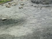 Ȃ񂳂̂킫sAiCgZ^[̓eʐ^1