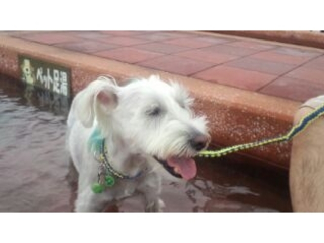 1�ԉ��ɂ̓y�b�g�p�̑���������܂��B
���������Ȃ̂ŁA�ق�̂�����Ƃ����������܂����B_���l���򑫓��@�ق��Ƃӂ��ƂP�O�T