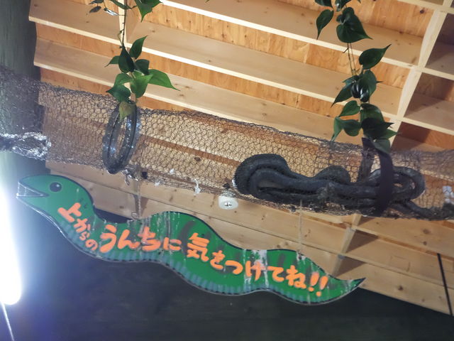 ���R������