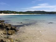 �e�c��������̓y��P�l��C������̓��e�ʐ^1