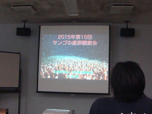 ��������������_�����_�C�r���O�Z���^�[