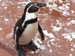 ~̓mr[`h&mቤւ̓eʐ^1