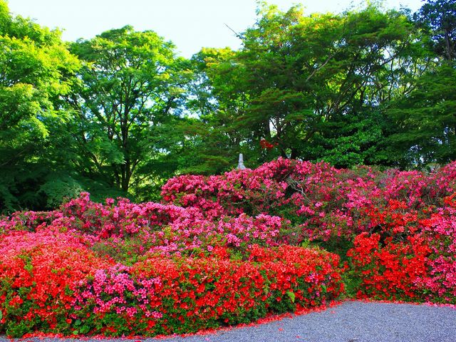 p7777777̂i_}j̓eʐ^1