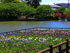 桑名城址 九華公園 の写真一覧 じゃらんnet