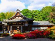 p7777777̂i_}j̓eʐ^3