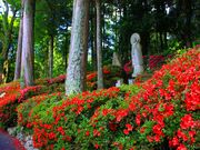 p7777777̂i_}j̓eʐ^4