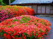 p7777777̂i_}j̓eʐ^5