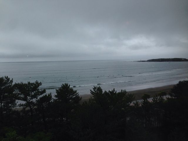 5�K��������̌i�F_�`�m�`�z���f�C�E�C�� ���]�[�g�{��