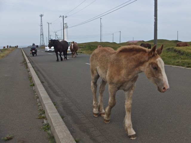 �K���蓔��߂��̓��H��舕����銦���n_�K����