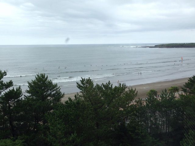 ��������̌i�F�B���̓��͓܂�ł����B_�`�m�`�z���f�C�E�C�� ���]�[�g�{��