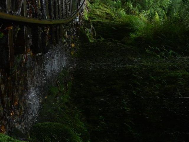 �J�~��g���b�R��_���v���K�C�h�c�A�[