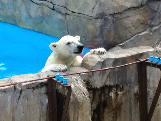 �~�R������