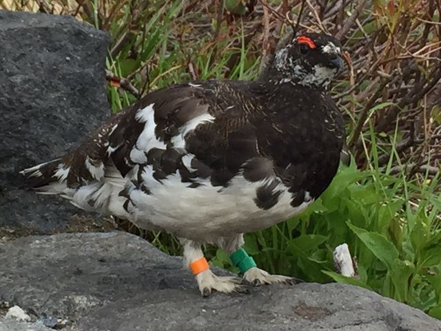 ����_���R����