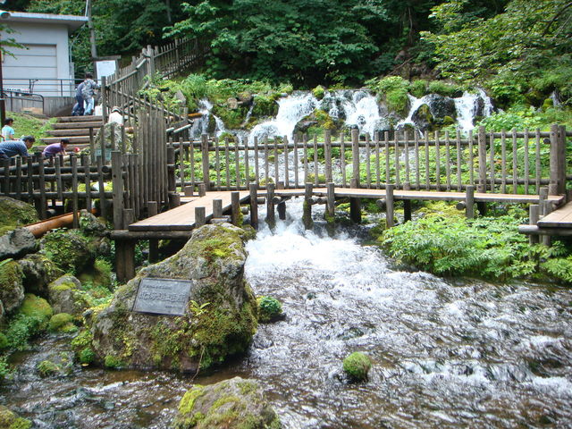 �r���R�̗N����