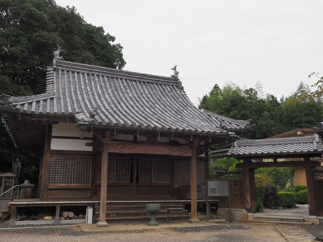 sklfh����̐Ώ㎛�̓��e�ʐ^1