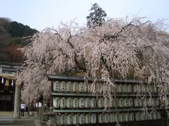 michiruさんの大石神社への投稿写真1