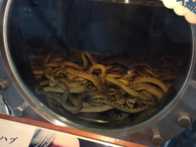 �n�u�𐻑��ߒ������w�ł���B�����|���ł����E�E�E��_�����Ȃ탏�[���h