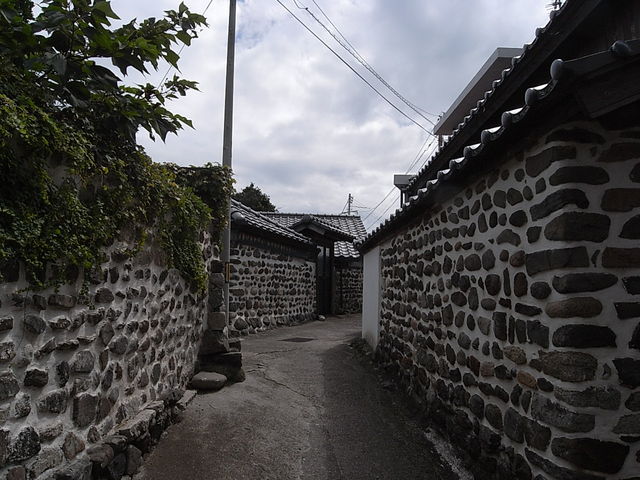 ���̂���̏j���̗����̓��e�ʐ^1