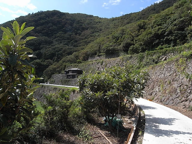 �j���̗���