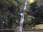 ݂Ƃ̖i邬j̓eʐ^1