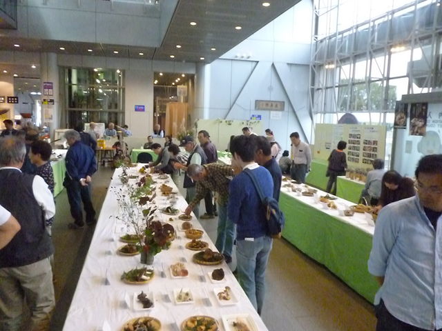 ���ʓW���́A���̂��W_�X���[�G�����s�Ȋw��