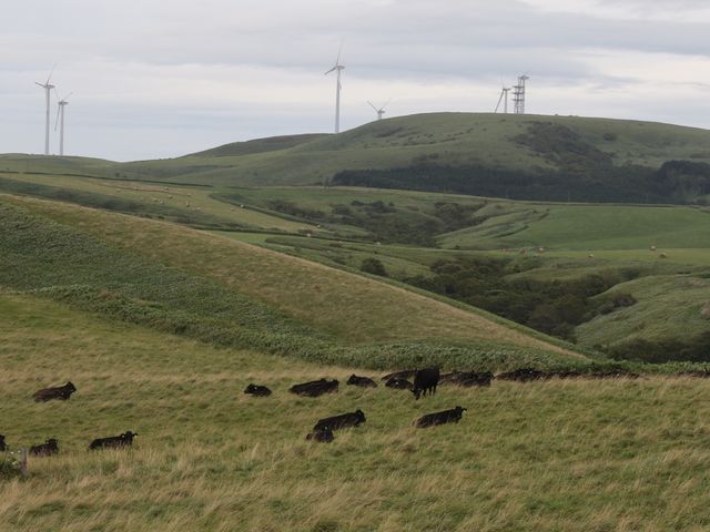 �����̍��јa���̌������͕��͔��d_�@�J�u��