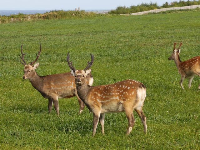 �쐶��_�@�J�u��