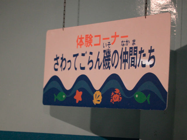 �V�����ۂ�T���s�A�U������