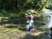 񂿂񂳂̕m؎RLv̓eʐ^2