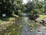 񂿂񂳂̕m؎RLv̓eʐ^4