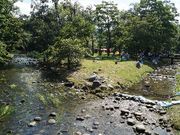 񂿂񂳂̕m؎RLv̓eʐ^5