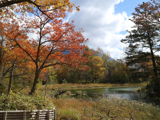 2015�N10��8���@����̉����ɂ�����r�@���x�~�ꏊ_����