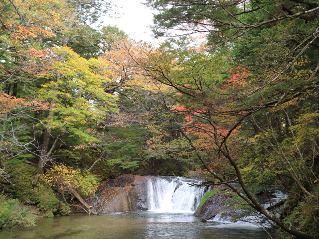 2015�N10��8���@����̉����ɂ��鏬��_����