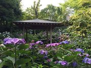 �e�c��������̓��厛�ʉ@����Ɏ��̓��e�ʐ^1