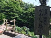 �e�c��������̓��厛�ʉ@����Ɏ��̓��e�ʐ^5