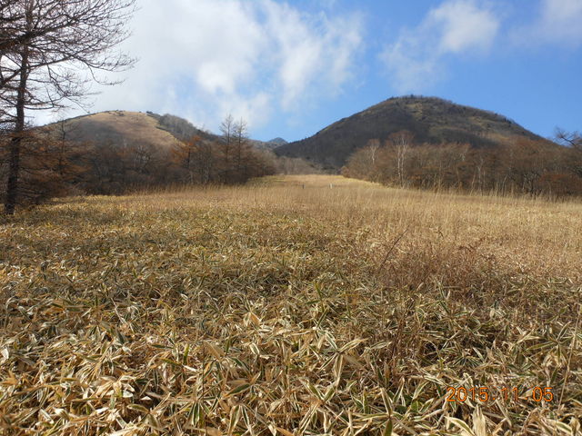 �R���i�e������j_�����s���~�����L�X�Q�����n�@���~�������X�g�n�E�X