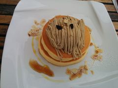 ���Ȃ�񂳂�̑�]�m�����R�q��`�R�R�K�[�f���ւ̓��e�ʐ^1