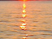 ���[����񂳂�̌c�쏼���̓��e�ʐ^1