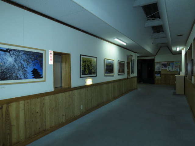 ���Ԃ����򌊊ω��̓�