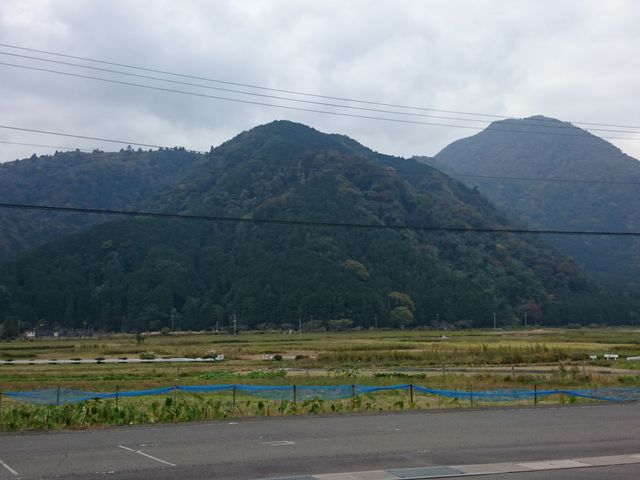 �B��X�|�b�g�I_�O���[�g�l�C�`���[�c�A�[�Y