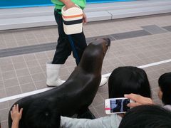 g̐䂤݂̓mقւ̓eʐ^1