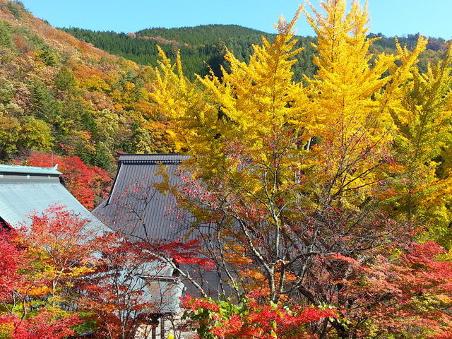 お天気に恵まれれば青い空と紅葉がとても綺麗です。_霊松寺