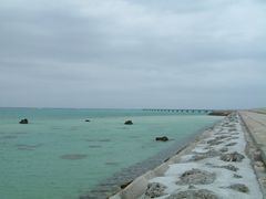 ҂Ђ񂳂̈ɗǕEnւ̓eʐ^1